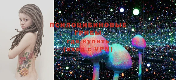 дживик Абинск