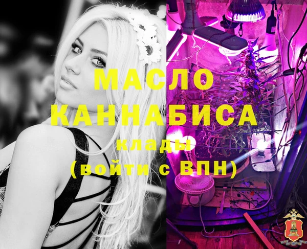 дживик Абинск