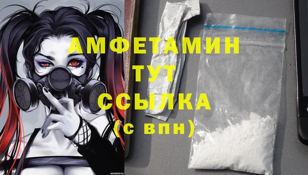 твердый Алзамай