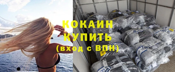 дживик Абинск