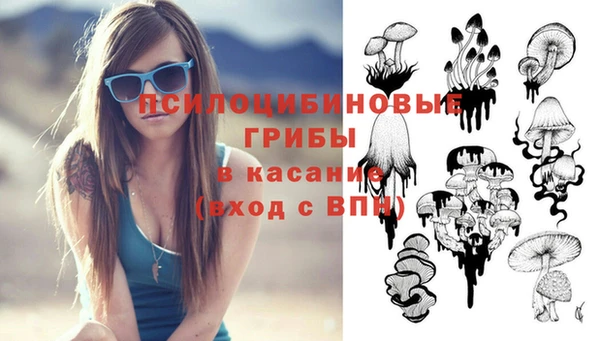 амф Алексин