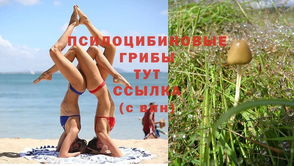 дживик Абинск